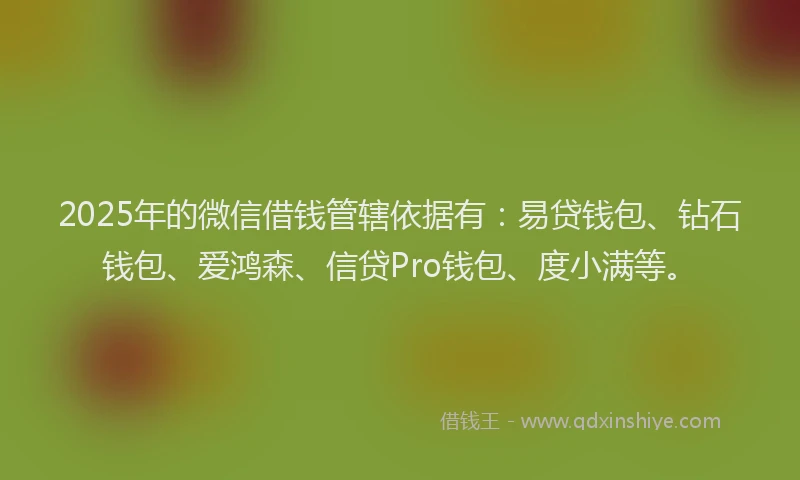 2025年的微信借钱管辖依据有：易贷钱包、钻石钱包、爱鸿森、信贷Pro钱包、度小满等。