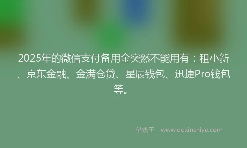 2025年的微信支付备用金突然不能用有：租小新、京东金融、金满仓贷、星辰钱包、迅捷Pro钱包等。