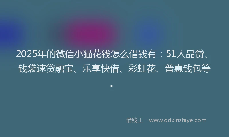2025年的微信小猫花钱怎么借钱有：51人品贷、钱袋速贷融宝、乐享快借、彩虹花、普惠钱包等。