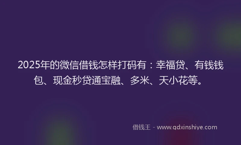 2025年的微信借钱怎样打码有：幸福贷、有钱钱包、现金秒贷通宝融、多米、天小花等。