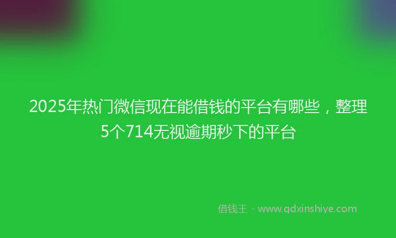 2025年热门微信现在能借钱的平台有哪些，整理5个714无视逾期秒下的平台