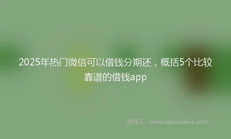 2025年热门微信可以借钱分期还，概括5个比较靠谱的借钱app