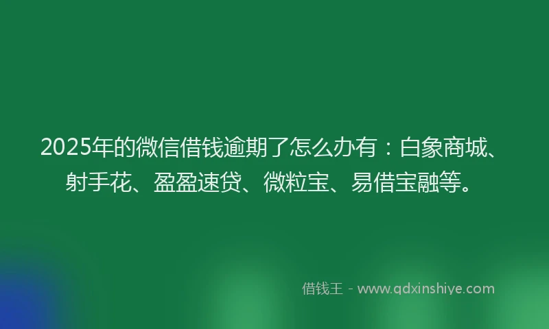 2025年的微信借钱逾期了怎么办有：白象商城、射手花、盈盈速贷、微粒宝、易借宝融等。