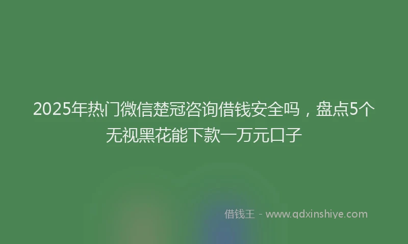 2025年热门微信楚冠咨询借钱安全吗，盘点5个无视黑花能下款一万元口子