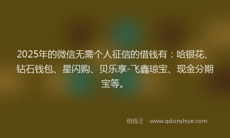2025年的微信无需个人征信的借钱有：哈银花、钻石钱包、星闪购、贝乐享-飞鑫琼宝、现金分期宝等。