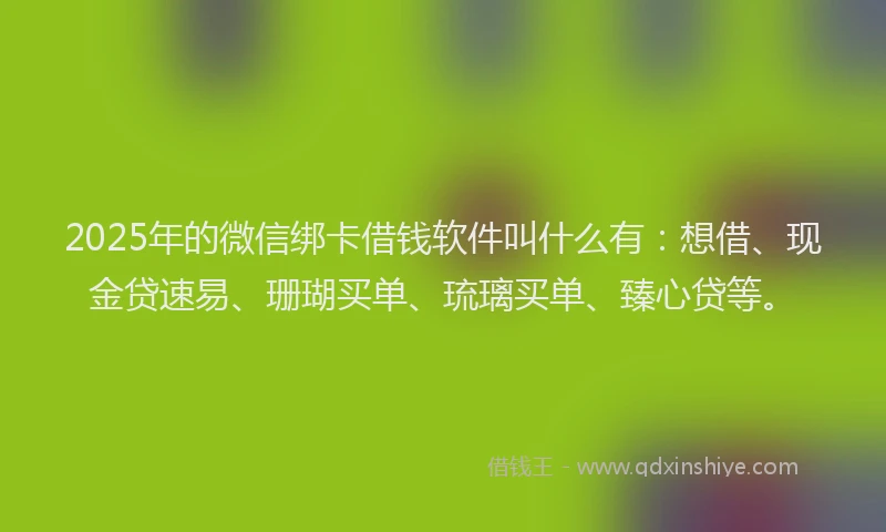 2025年的微信绑卡借钱软件叫什么有：想借、现金贷速易、珊瑚买单、琉璃买单、臻心贷等。