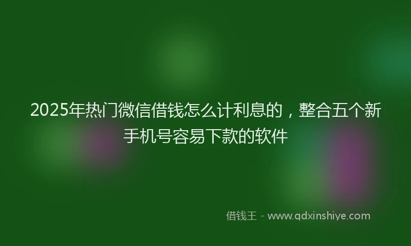2025年热门微信借钱怎么计利息的，整合五个新手机号容易下款的软件