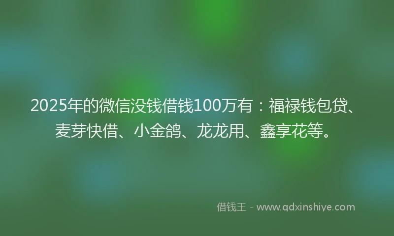2025年的微信没钱借钱100万有：福禄钱包贷、麦芽快借、小金鸽、龙龙用、鑫享花等。