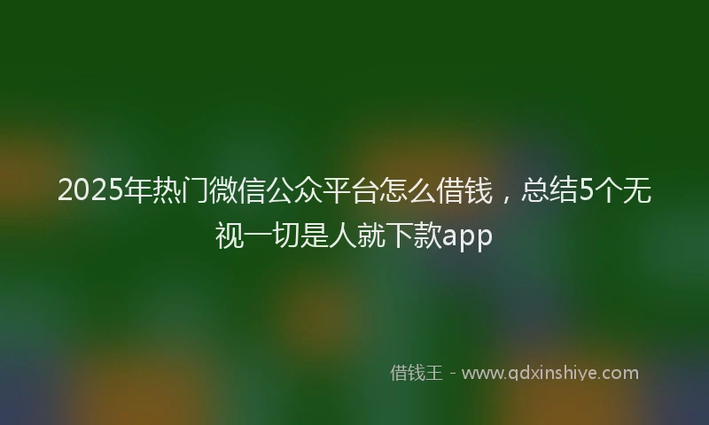 2025年热门微信公众平台怎么借钱，总结5个无视一切是人就下款app
