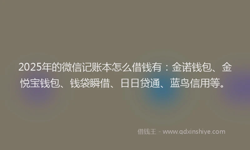2025年的微信记账本怎么借钱有：金诺钱包、金悦宝钱包、钱袋瞬借、日日贷通、蓝鸟信用等。