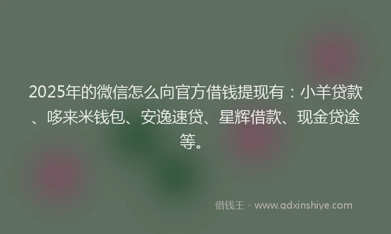 2025年的微信怎么向官方借钱提现有：小羊贷款、哆来米钱包、安逸速贷、星辉借款、现金贷途等。