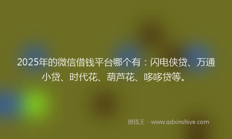 2025年的微信借钱平台哪个有：闪电侠贷、万通小贷、时代花、葫芦花、哆哆贷等。