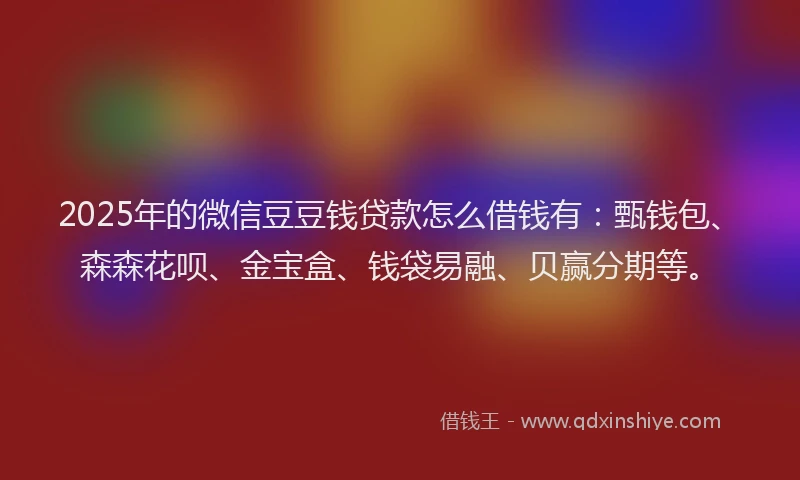 2025年的微信豆豆钱贷款怎么借钱有：甄钱包、森森花呗、金宝盒、钱袋易融、贝赢分期等。