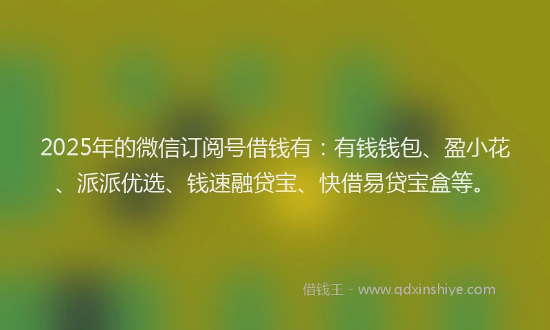 2025年的微信订阅号借钱有：有钱钱包、盈小花、派派优选、钱速融贷宝、快借易贷宝盒等。