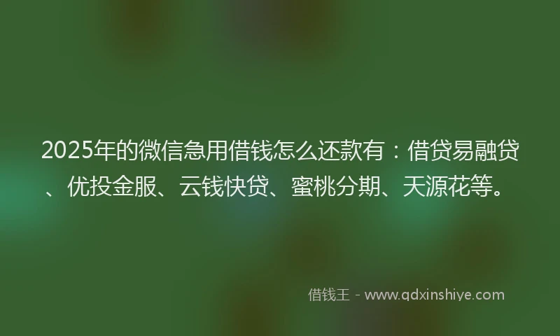2025年的微信急用借钱怎么还款有：借贷易融贷、优投金服、云钱快贷、蜜桃分期、天源花等。
