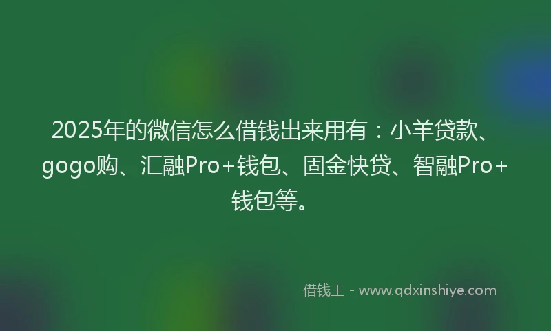2025年的微信怎么借钱出来用有：小羊贷款、gogo购、汇融Pro+钱包、固金快贷、智融Pro+钱包等。