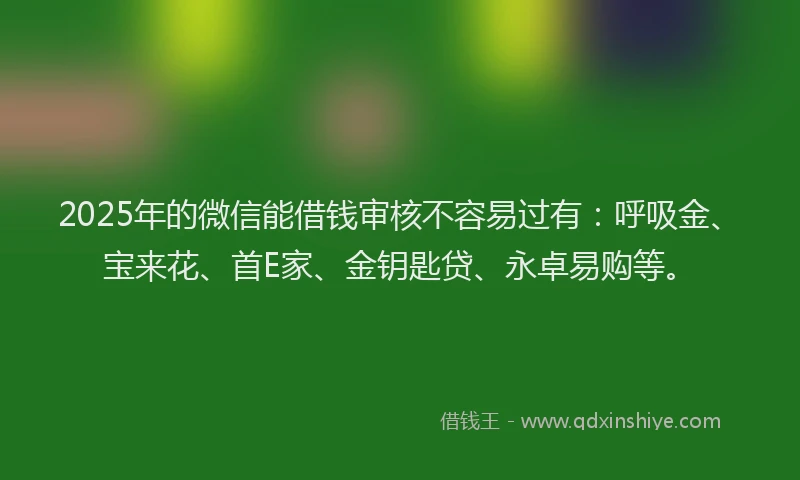 2025年的微信能借钱审核不容易过有：呼吸金、宝来花、首E家、金钥匙贷、永卓易购等。