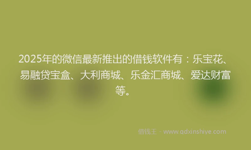 2025年的微信最新推出的借钱软件有：乐宝花、易融贷宝盒、大利商城、乐金汇商城、爱达财富等。