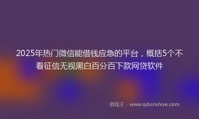 2025年热门微信能借钱应急的平台，概括5个不看征信无视黑白百分百下款网贷软件