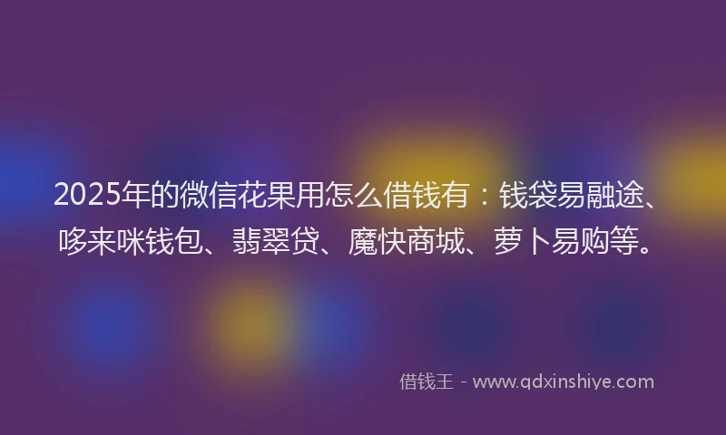 2025年的微信花果用怎么借钱有：钱袋易融途、哆来咪钱包、翡翠贷、魔快商城、萝卜易购等。