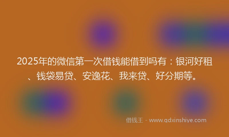 2025年的微信第一次借钱能借到吗有：银河好租、钱袋易贷、安逸花、我来贷、好分期等。