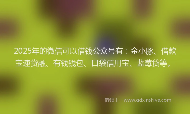 2025年的微信可以借钱公众号有：金小豚、借款宝速贷融、有钱钱包、口袋信用宝、蓝莓贷等。