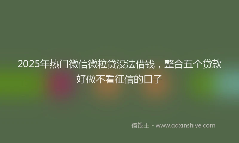 2025年热门微信微粒贷没法借钱，整合五个贷款好做不看征信的口子
