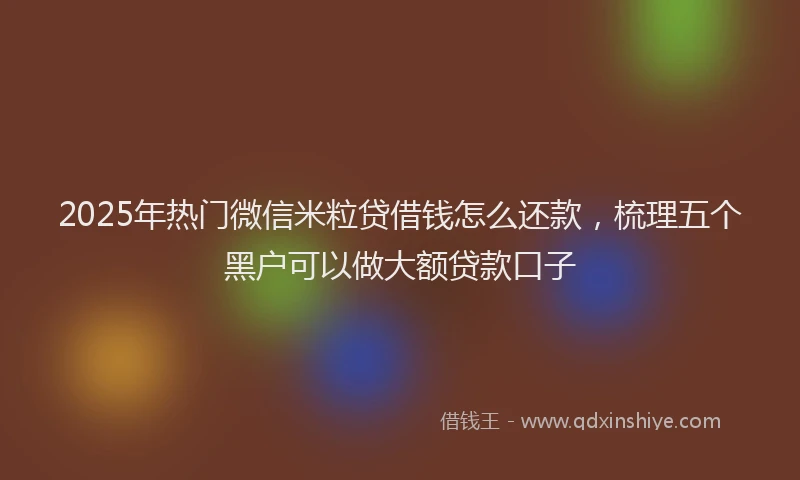 2025年热门微信米粒贷借钱怎么还款，梳理五个黑户可以做大额贷款口子