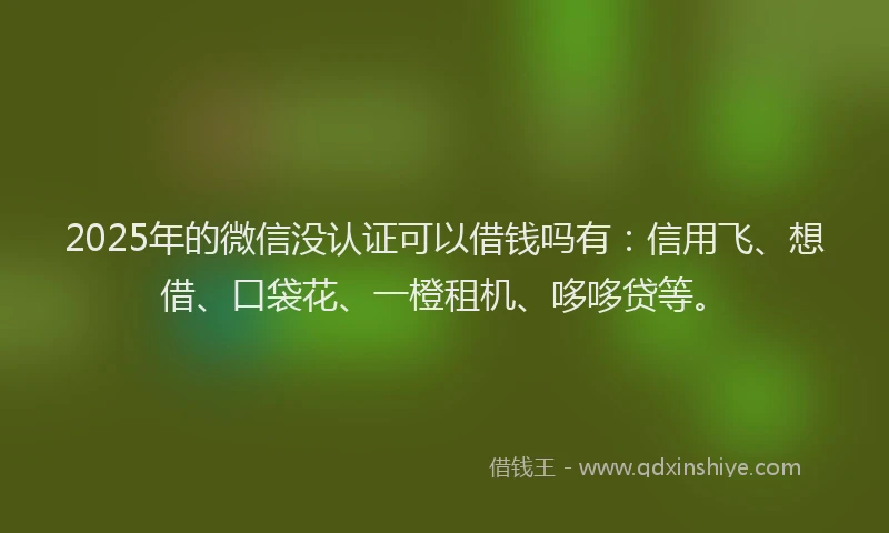 2025年的微信没认证可以借钱吗有：信用飞、想借、口袋花、一橙租机、哆哆贷等。