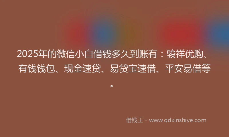 2025年的微信小白借钱多久到账有：骏祥优购、有钱钱包、现金速贷、易贷宝速借、平安易借等。