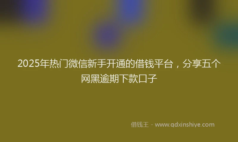 2025年热门微信新手开通的借钱平台，分享五个网黑逾期下款口子