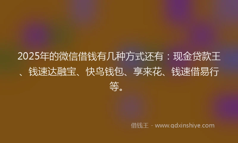 2025年的微信借钱有几种方式还有：现金贷款王、钱速达融宝、快鸟钱包、享来花、钱速借易行等。