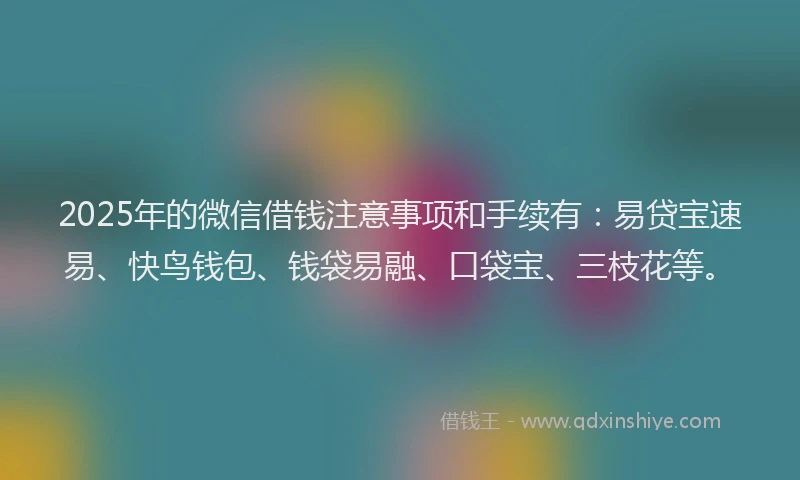 2025年的微信借钱注意事项和手续有：易贷宝速易、快鸟钱包、钱袋易融、口袋宝、三枝花等。
