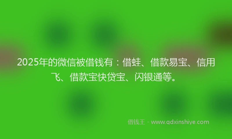 2025年的微信被借钱有：借蛙、借款易宝、信用飞、借款宝快贷宝、闪银通等。