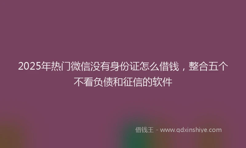 2025年热门微信没有身份证怎么借钱，整合五个不看负债和征信的软件