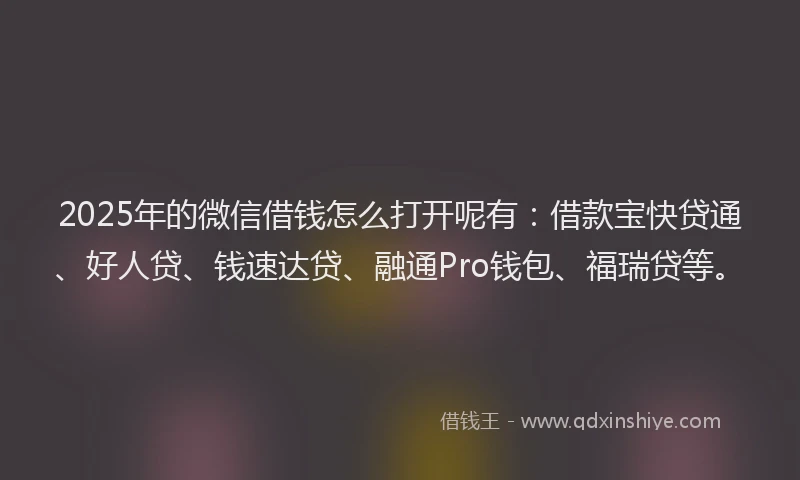 2025年的微信借钱怎么打开呢有：借款宝快贷通、好人贷、钱速达贷、融通Pro钱包、福瑞贷等。