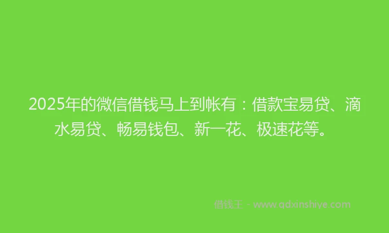 2025年的微信借钱马上到帐有：借款宝易贷、滴水易贷、畅易钱包、新一花、极速花等。