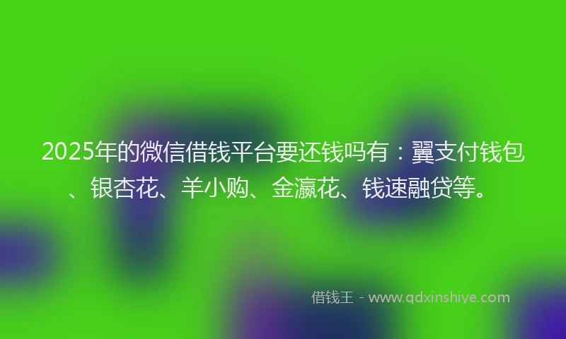 2025年的微信借钱平台要还钱吗有：翼支付钱包、银杏花、羊小购、金瀛花、钱速融贷等。