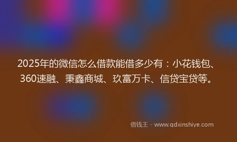 2025年的微信怎么借款能借多少有：小花钱包、360速融、秉鑫商城、玖富万卡、信贷宝贷等。