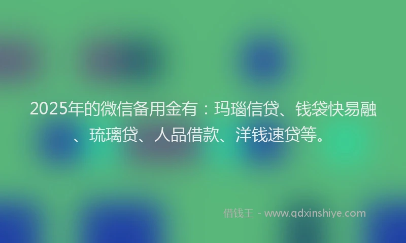 2025年的微信备用金有：玛瑙信贷、钱袋快易融、琉璃贷、人品借款、洋钱速贷等。