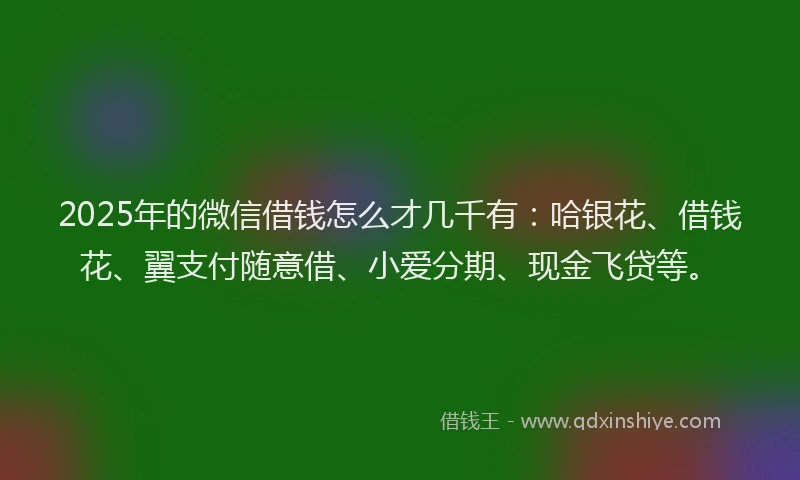 2025年的微信借钱怎么才几千有：哈银花、借钱花、翼支付随意借、小爱分期、现金飞贷等。