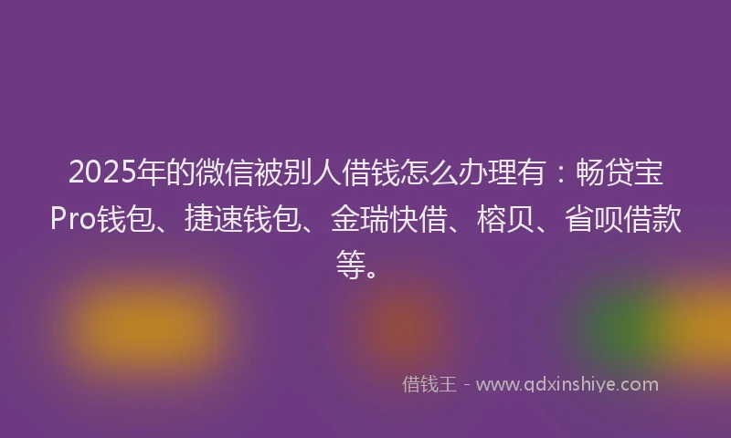 2025年的微信被别人借钱怎么办理有：畅贷宝Pro钱包、捷速钱包、金瑞快借、榕贝、省呗借款等。