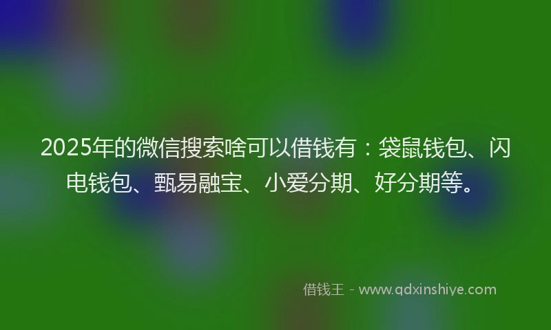 2025年的微信搜索啥可以借钱有：袋鼠钱包、闪电钱包、甄易融宝、小爱分期、好分期等。