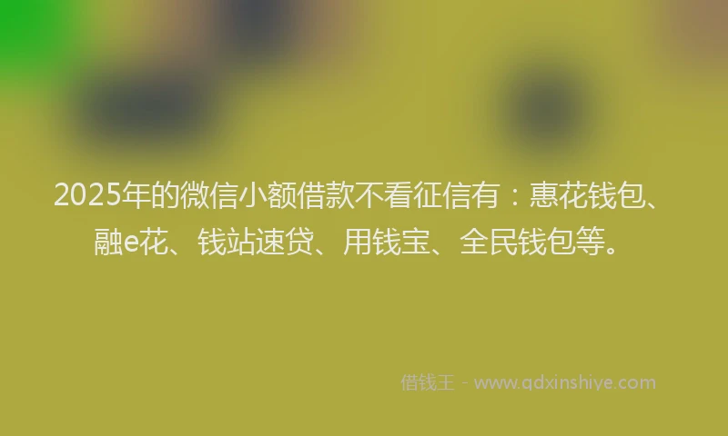 2025年的微信小额借款不看征信有：惠花钱包、融e花、钱站速贷、用钱宝、全民钱包等。