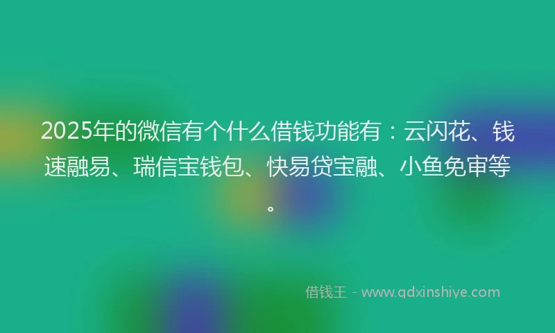2025年的微信有个什么借钱功能有：云闪花、钱速融易、瑞信宝钱包、快易贷宝融、小鱼免审等。