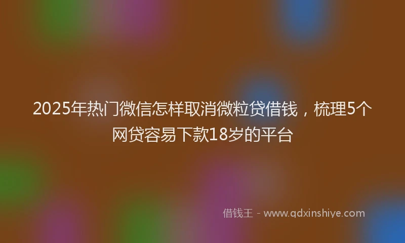 2025年热门微信怎样取消微粒贷借钱，梳理5个网贷容易下款18岁的平台