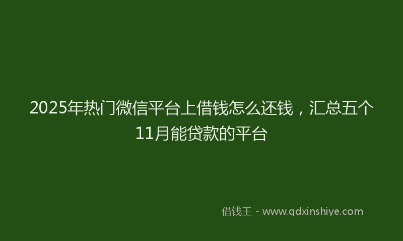 2025年热门微信平台上借钱怎么还钱，汇总五个11月能贷款的平台