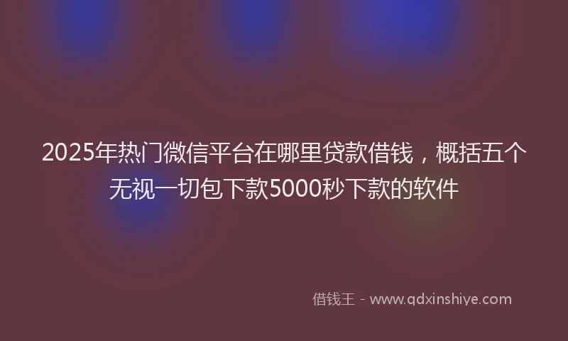 2025年热门微信平台在哪里贷款借钱，概括五个无视一切包下款5000秒下款的软件