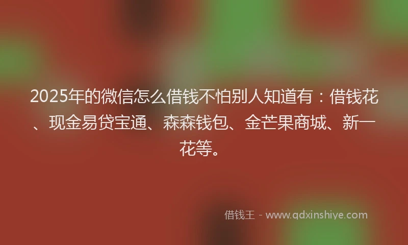 2025年的微信怎么借钱不怕别人知道有：借钱花、现金易贷宝通、森森钱包、金芒果商城、新一花等。