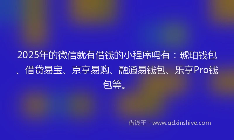 2025年的微信就有借钱的小程序吗有：琥珀钱包、借贷易宝、京享易购、融通易钱包、乐享Pro钱包等。